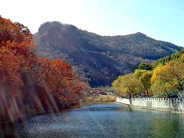 新澳门二四六天天彩，土豆粉学习